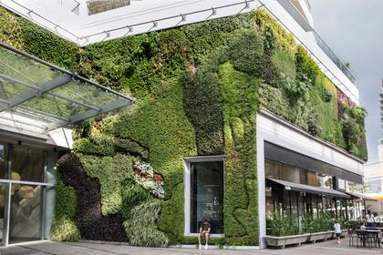 La incorporación de jardines verticales o muros verdes mejora la eficiencia térmica de las construcciones