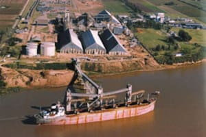 Los exportadores cuestionaron una sorpresiva medida de una federación aceitera