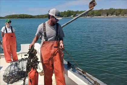 La industria acuícola representa más del 25% de las granjas en Long Island, con actividad principalmente en Suffolk y Nassau