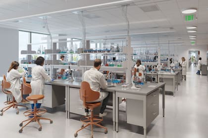 La industria farmacéutica siempre tuvo una fuerte división en la Argentina