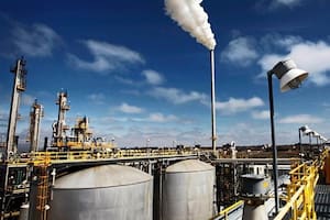 La industria local espera que así se mantenga firma el aceite de soja