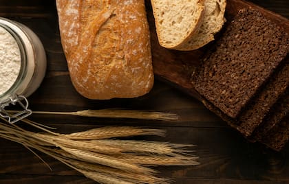 La industria panadera siempre demanda alta calidad