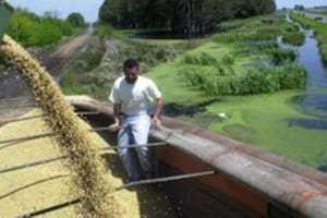 Cuáles son los beneficios impositivos del canje agropecuario