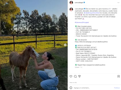 La influencer compartió la información para colaborar con la ONG (Foto: Instagram @carocalvagni)