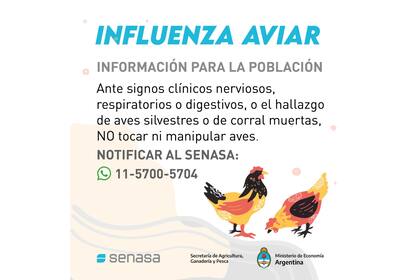 La información para productores avícolas