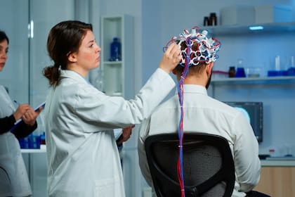 La información surge cuando la actividad neuronal logra mantener estos patrones