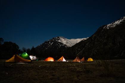 La iniciativa brinda la posibilidad de potenciar la creación de trabajo y fomentar la biodiversidad a través de la restauración de las zonas devastadas por el fuego