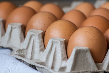 La iniciativa busca garantizar el acceso a proteínas de alto valor nutricional para miles de personas vulnerables (Foto: Freepik)