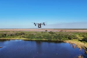 Con drones lanzan semillas en cápsulas biodegradables para recuperar una emblemática región de bosques