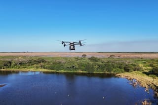 Con drones lanzan semillas en cápsulas biodegradables para recuperar una emblemática región de bosques