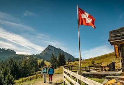 La iniciativa impulsada por la derecha populista busca limitar la población a 10 millones antes de 2050 y obligaría a restringir la inmigración