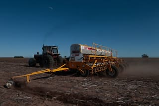 Bienes Personales: cómo impactará el fin de la exención a los inmuebles rurales