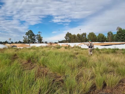 La iniciativa propone penas de hasta ocho años de prisión para daños sobre silobolsas, cultivos e infraestructura productiva rural