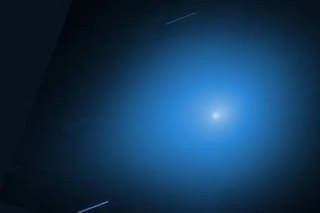 La iniciativa que lanzó la NASA para los que quieran participar del acercamiento del cometa 3I/ATLAS a la Tierra