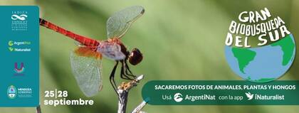 La iniciativa, que se realiza entre el 25 y el 28 de septiembre, tiene su origen en Australia y fue dada a conocer por la Secretaría de Ambiente y Ordenamiento Territorial de Mendoza, Todo el país puede participar del concurso.