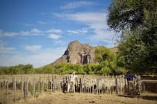 Un plan busca regenerar diez millones de hectáreas de pastizales patagónicos hacia 2030