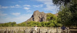 Un plan busca regenerar diez millones de hectáreas de pastizales patagónicos hacia 2030