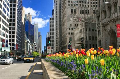 La iniciativa tiene como objetivo revitalizar la icónica avenida Magnificent Mile, un emblema de la ciudad, y brindar una atracción innovadora y diferenciada
