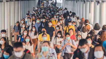 La inmunidad de rebaño se puede lograr luego de que suficiente cantidad de personas hayan tenido la enfermedad y desarrollen anticuerpos, o que gran porcentaje de la población se haya vacunado