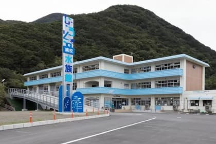 La innovadora solución de Japón para las escuelas abandonadas por falta de estudiantes