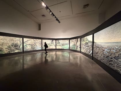 La instalación "Argentina", de Mondongo, en el Museo Franklin Rawson