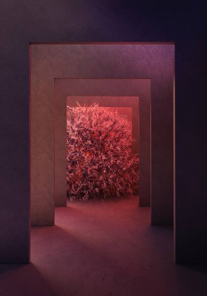 La instalación propondrá un recorrido por un laberinto de luz, espejos y pantallas, un juego en torno a la arquitectura, las flores y el diseño 3D