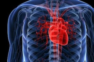 Alertan sobre la afección que genera más muertes por enfermedad cardiovascular