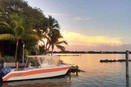 La Inteligencia Artificial eligió a Miami como una de las ciudades en donde es más probable hacerse millonario.