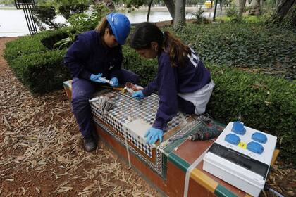 La intervención apunta a preservar la riqueza histórica y artística de este paseo público
