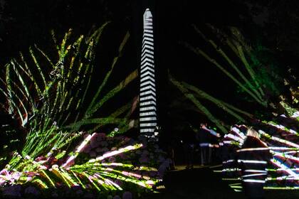 La intervención del Obelisco con obras de Julio Le Parc, recreada sobre un árbol en la isla El Descanso
