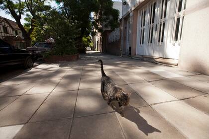 La intimidad del barrio porteño que inspiró a Cortázar en su juventud