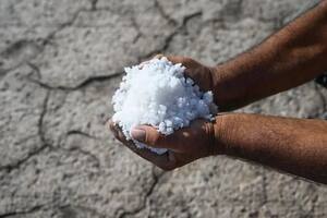 Qué es la intrusión salina y qué efectos puede tener en la economía y nuestra salud