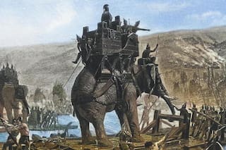 El hueso que podría ser evidencia del mítico paso de un elefante de guerra de Aníbal por Europa