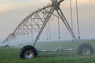 Si la Argentina regara más las exportaciones podrían crecer en casi US$1000 millones y se crearían 27.000 empleos