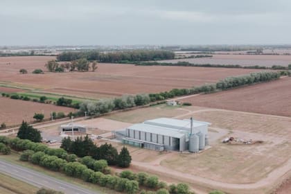La inversión total en las plantas de alfalfa y de legumbres rondó los US$8 millones y emplean a 55 personas