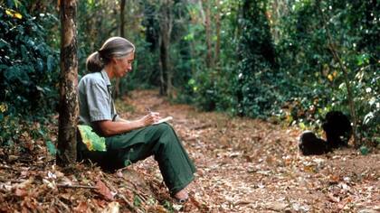 La investigación de Jane Goodall sobre los chimpancés en Tanzania allanó el camino para otras primatólogas
