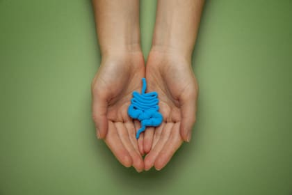 La investigación determinó que el proceso comienza con cambios microbianos y metabólicos derivados del paso del tiempo en el tracto digestivo