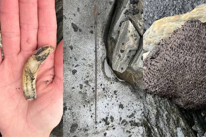 La investigación sigue su curso en el paso de Lendbreen y ya hay varios nuevos hallazgos