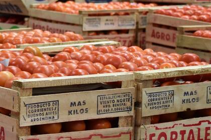 La investigación sobre el papel antimicrobiano del tomate se llevó a cabo en varias fases.