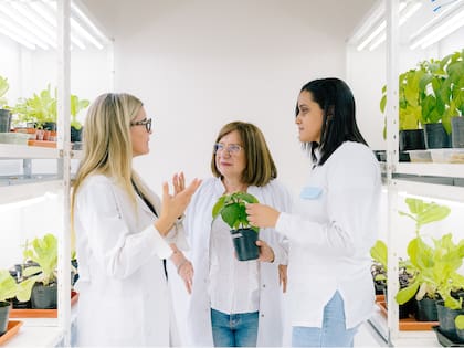 La investigadora premiada, Raquel Chan, con miembros de su equipo