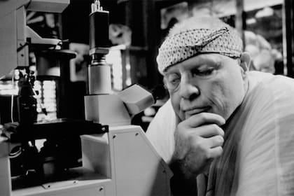 "Con sobrepeso, distraído, burlón, desdeñoso, en el filo de una navaja en la que el capricho se convierte en malicia, estaba allí directamente para sabotear esta película", dijo sobre Brando el guionista Ron Hutchinson