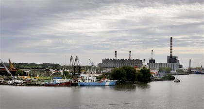 La isla hoy: la isla Demarchi mantiene una intensa actividad fluvial