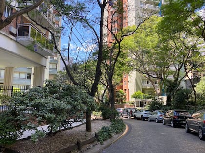 La Isla, en Olivos, tiene en su cercanía estaciones de trenes, accesos a la ciudad, autopistas y colegios de alto nivel