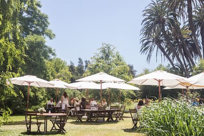 La isla es ideal para un almuerzo rodeado de arte y naturaleza.