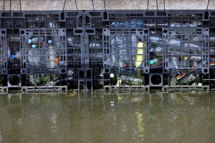 Becker está probando nuevas tecnologías que le permitan utilizar los desechos humanos como compost para las plantas de la isla