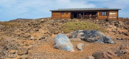 La isla le debe su nombre a los lobos marinos que la escogieron como su hogar