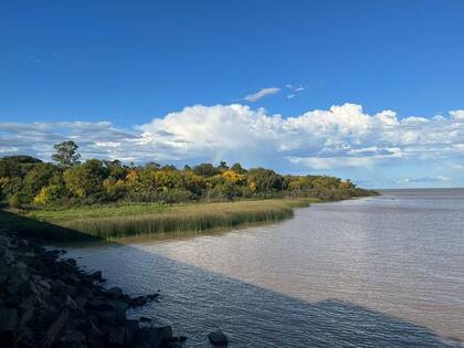 La isla Martín García tiene, en apenas 180 hectáreas, una gran biodiversidad.