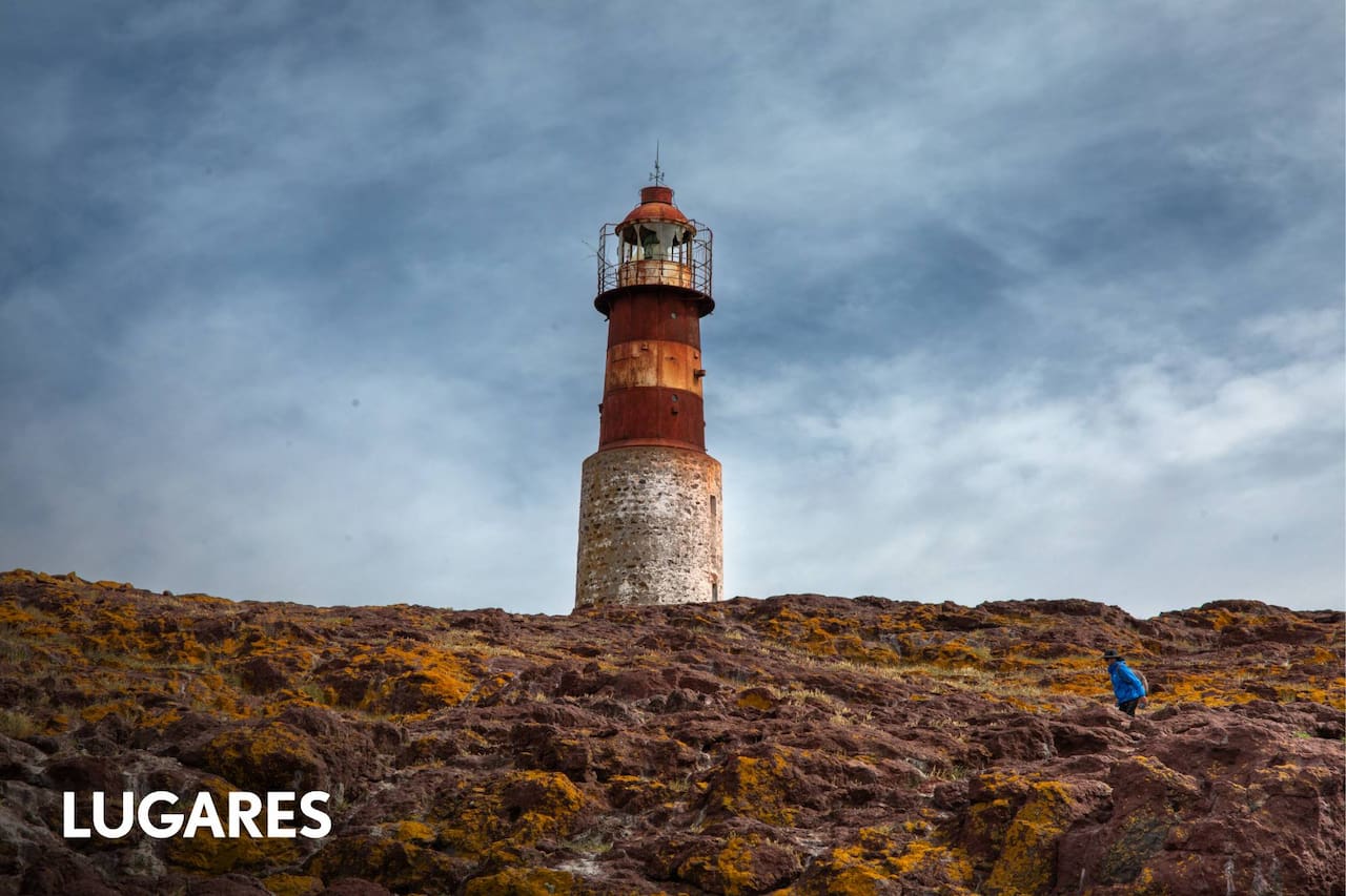 Isla Pingüino y aves marinas en la Ría Deseado
