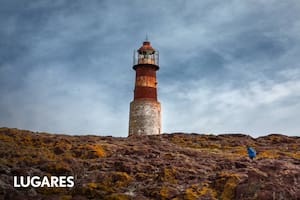 El paraíso salvaje mar adentro que alberga la única colonia de pingüinos Penacho Amarillo que se puede visitar