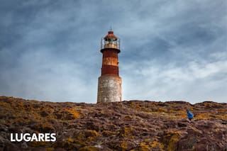 Mar adentro, alberga la única colonia accesible de pingüinos Penacho Amarillo